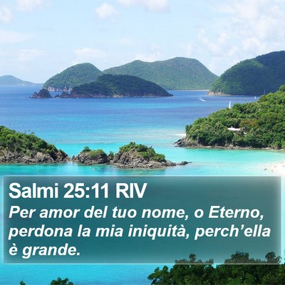 Salmi 25:11 RIV Bible Verse Image