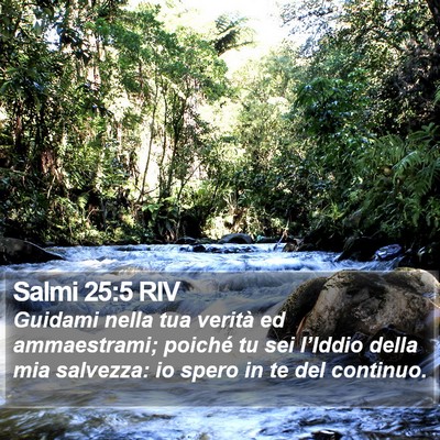 Salmi 25:5 RIV Bible Verse Image