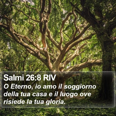 Salmi 26:8 RIV Bible Verse Image