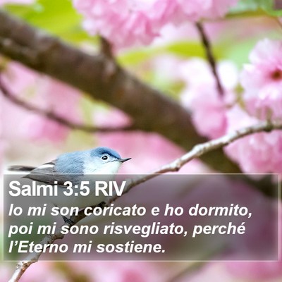 Salmi 3:5 RIV Bible Verse Image