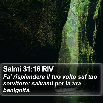 Salmi 31:16 RIV Bible Verse Image