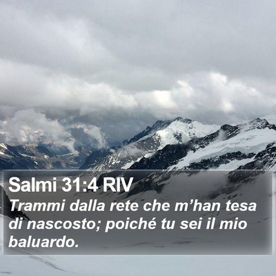 Salmi 31:4 RIV Bible Verse Image