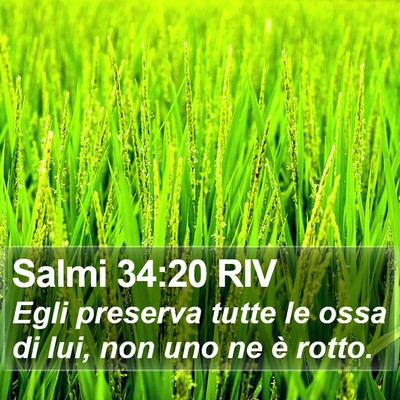 Salmi 34:20 RIV Bible Verse Image