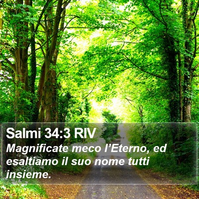 Salmi 34:3 RIV Bible Verse Image