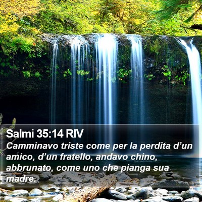 Salmi 35:14 RIV Bible Verse Image