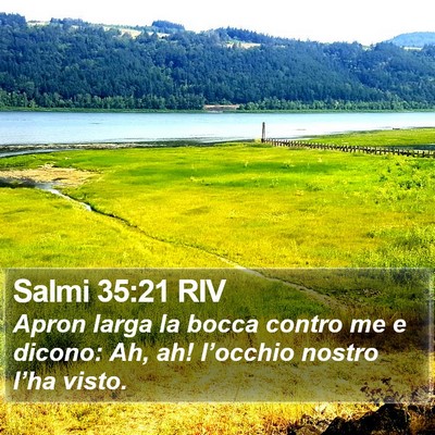 Salmi 35:21 RIV Bible Verse Image