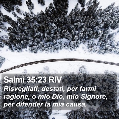 Salmi 35:23 RIV Bible Verse Image