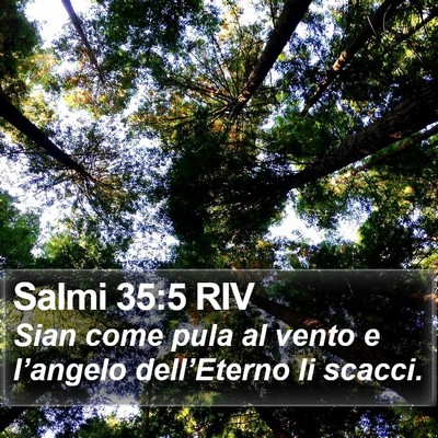 Salmi 35:5 RIV Bible Verse Image