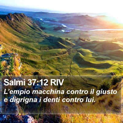 Salmi 37:12 RIV Bible Verse Image