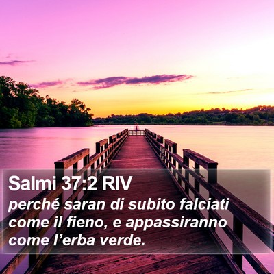 Salmi 37:2 RIV Bible Verse Image