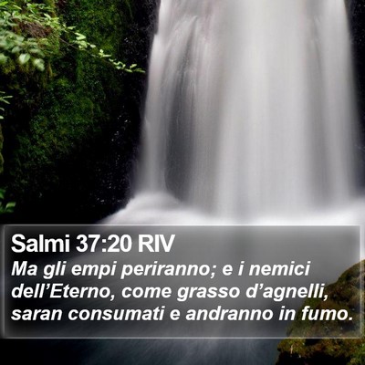 Salmi 37:20 RIV Bible Verse Image