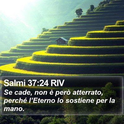 Salmi 37:24 RIV Bible Verse Image