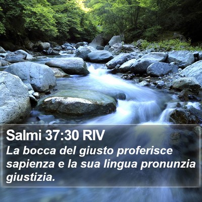 Salmi 37:30 RIV Bible Verse Image