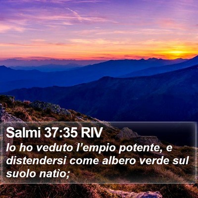 Salmi 37:35 RIV Bible Verse Image