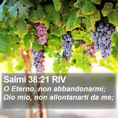 Salmi 38:21 RIV Bible Verse Image