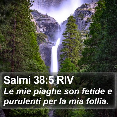 Salmi 38:5 RIV Bible Verse Image