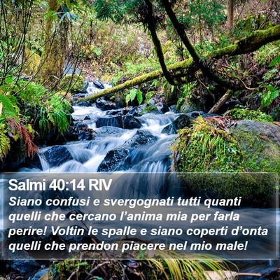 Salmi 40:14 RIV Bible Verse Image
