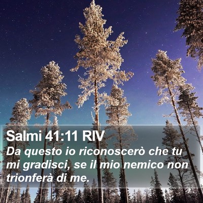 Salmi 41:11 RIV Bible Verse Image
