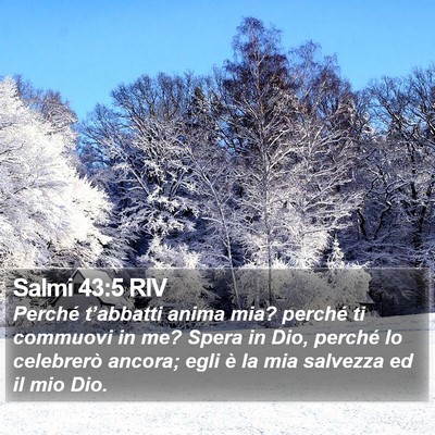 Salmi 43:5 RIV Bible Verse Image