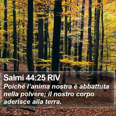 Salmi 44:25 RIV Bible Verse Image
