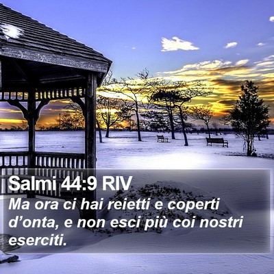 Salmi 44:9 RIV Bible Verse Image