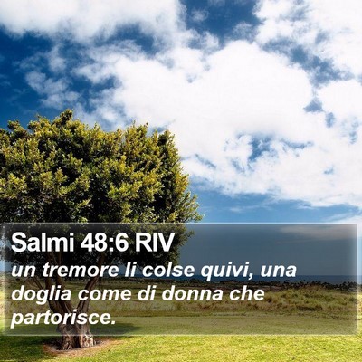 Salmi 48:6 RIV Bible Verse Image
