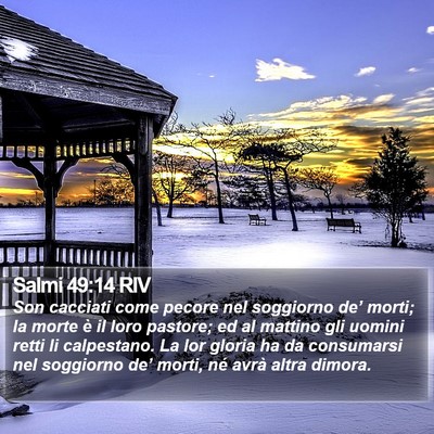 Salmi 49:14 RIV Bible Verse Image
