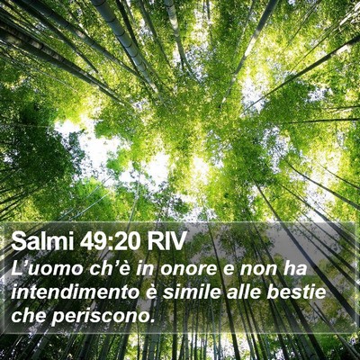 Salmi 49:20 RIV Bible Verse Image