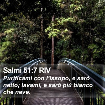 Salmi 51:7 RIV Bible Verse Image