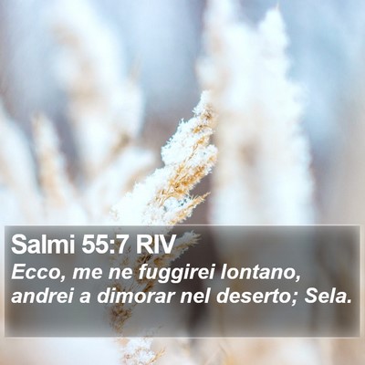 Salmi 55:7 RIV Bible Verse Image
