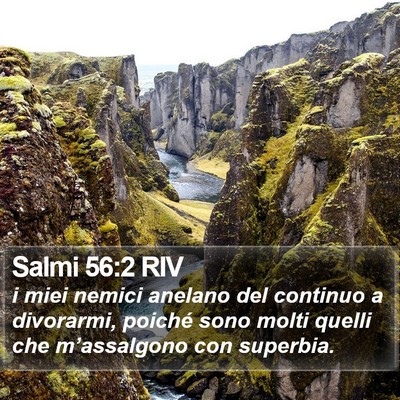 Salmi 56:2 RIV Bible Verse Image