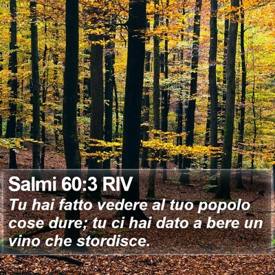Salmi 60:3 RIV Bible Verse Image