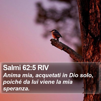 Salmi 62:5 RIV Bible Verse Image