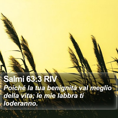 Salmi 63:3 RIV Bible Verse Image
