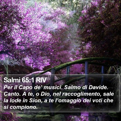 Salmi 65:1 RIV Bible Verse Image