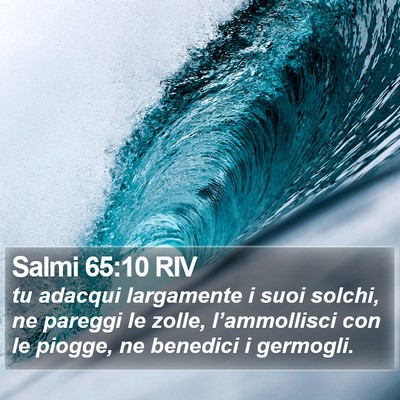 Salmi 65:10 RIV Bible Verse Image
