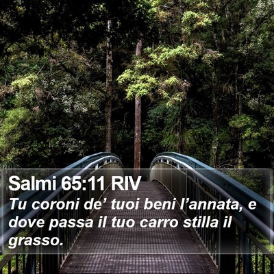 Salmi 65:11 RIV Bible Verse Image