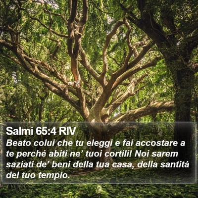 Salmi 65:4 RIV Bible Verse Image