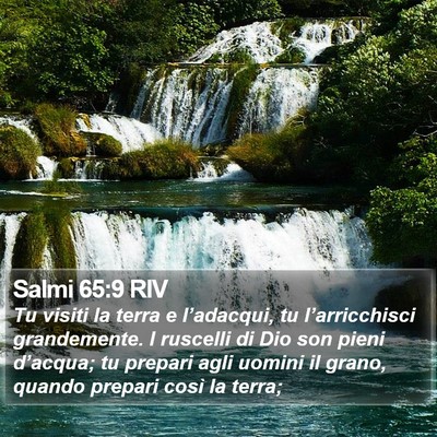 Salmi 65:9 RIV Bible Verse Image