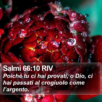 Salmi 66:10 RIV Bible Verse Image