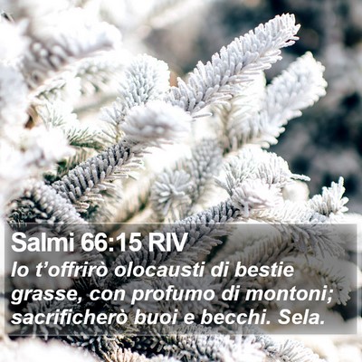 Salmi 66:15 RIV Bible Verse Image