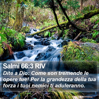 Salmi 66:3 RIV Bible Verse Image
