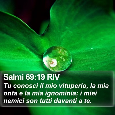 Salmi 69:19 RIV Bible Verse Image