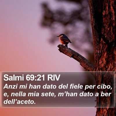 Salmi 69:21 RIV Bible Verse Image