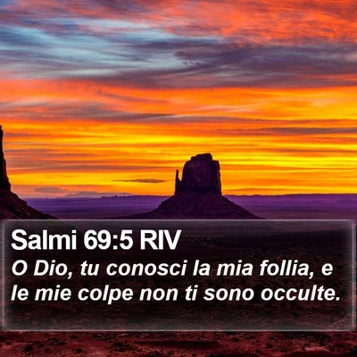 Salmi 69:5 RIV Bible Verse Image