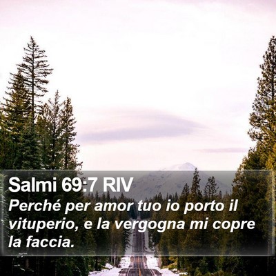 Salmi 69:7 RIV Bible Verse Image