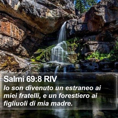 Salmi 69:8 RIV Bible Verse Image
