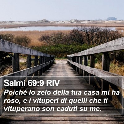 Salmi 69:9 RIV Bible Verse Image