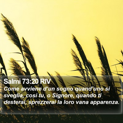 Salmi 73:20 RIV Bible Verse Image