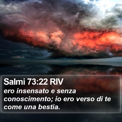 Salmi 73:22 RIV Bible Verse Image